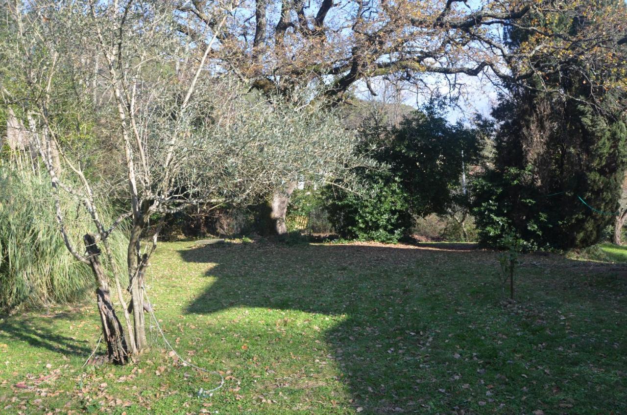 Апартаменты Il Giardino Secreto Manziana Экстерьер фото